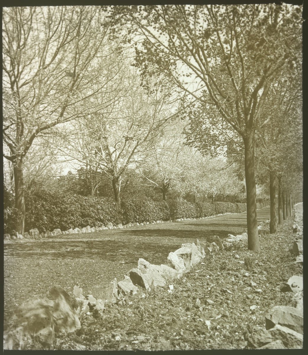 Alexandra Avenue, Melbourne 1921, Melbourne City