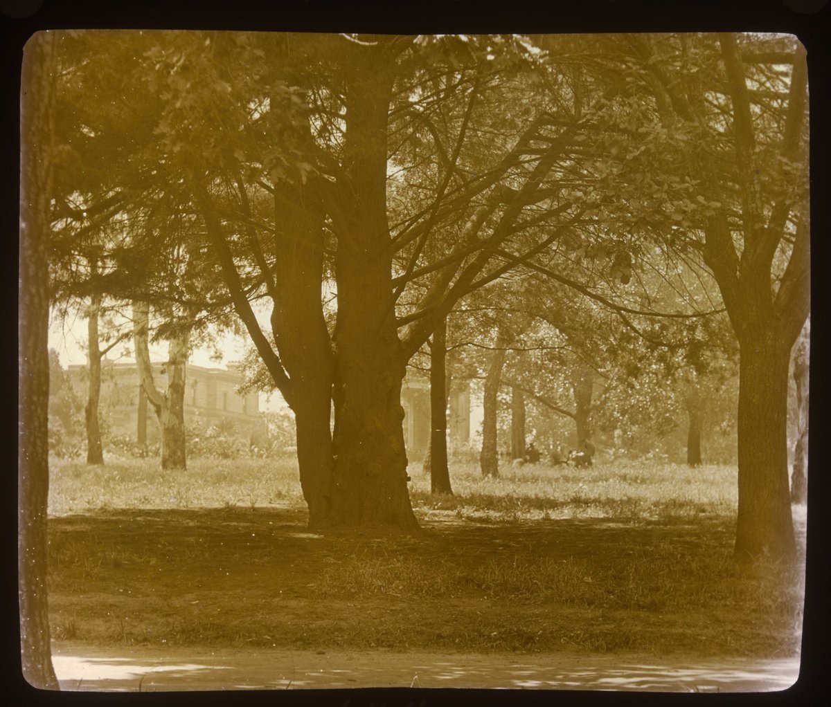 In Fitzroy Gardens, Melbourne, East Melbourne (1875–1938)