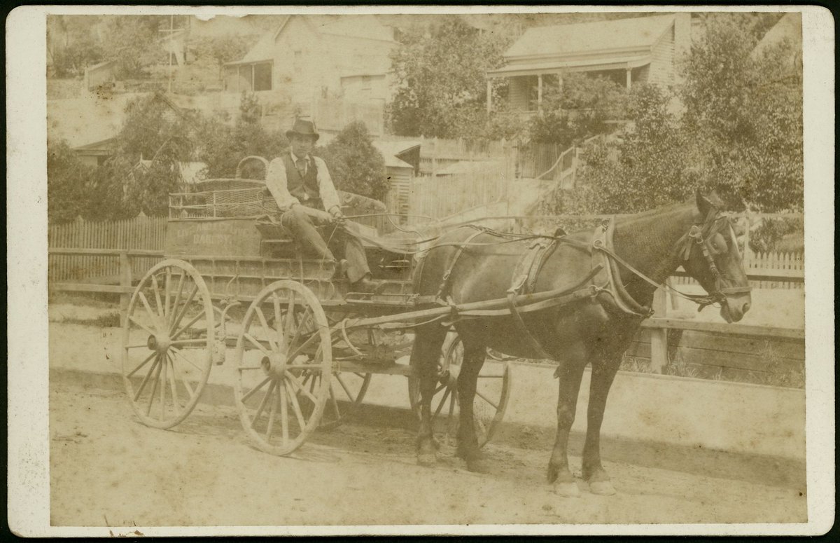 Photographs by Clark Brothers, 25 Thomas Street, Windsor, Vic (c. 1900)