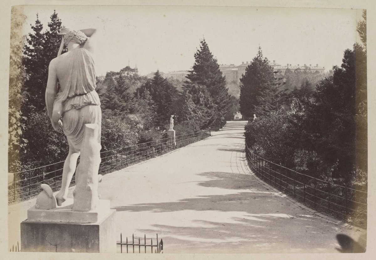 The Middle Avenue in the Fitzroy Gardens, East Melbourne (1870–80)