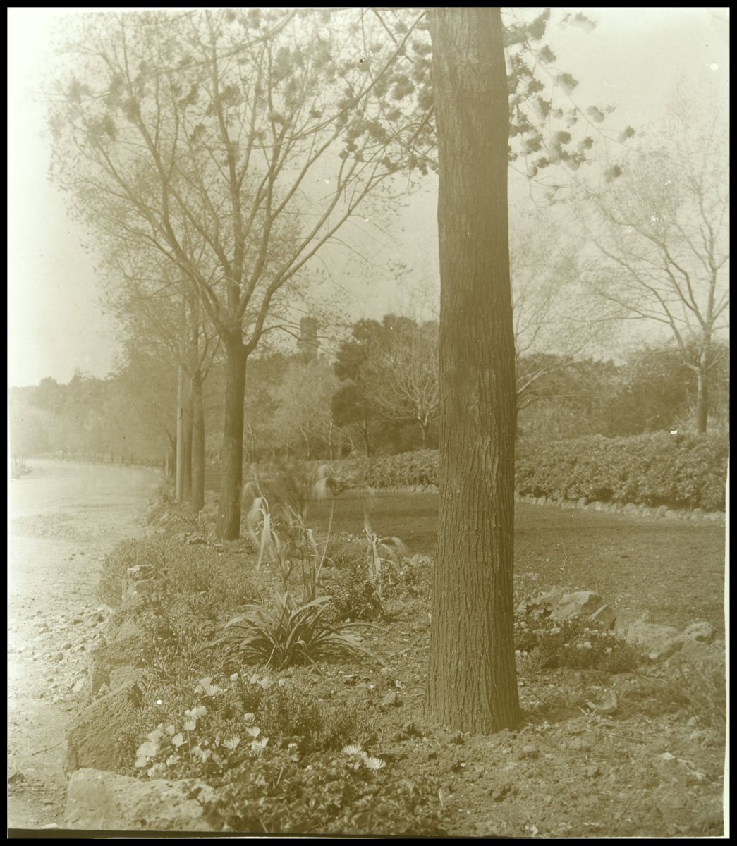 Alexandra Avenue, Melbourne, Melbourne City (1880–1938)
