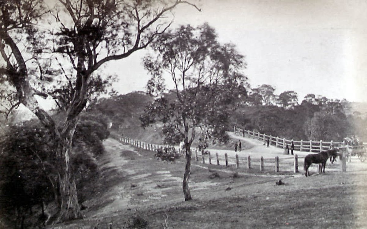 Studley Park, Kew (c. 1865)