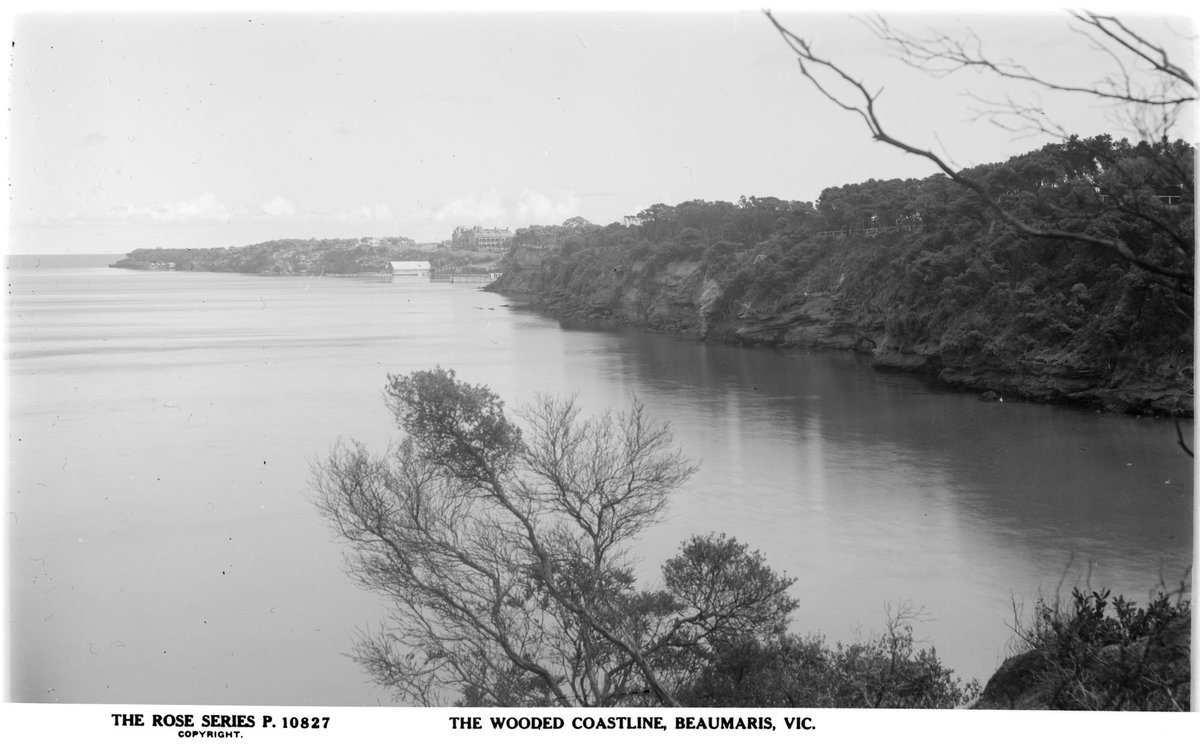 THE WOODED COASTLINE, BEAUMARIS, VIC (1920–54)