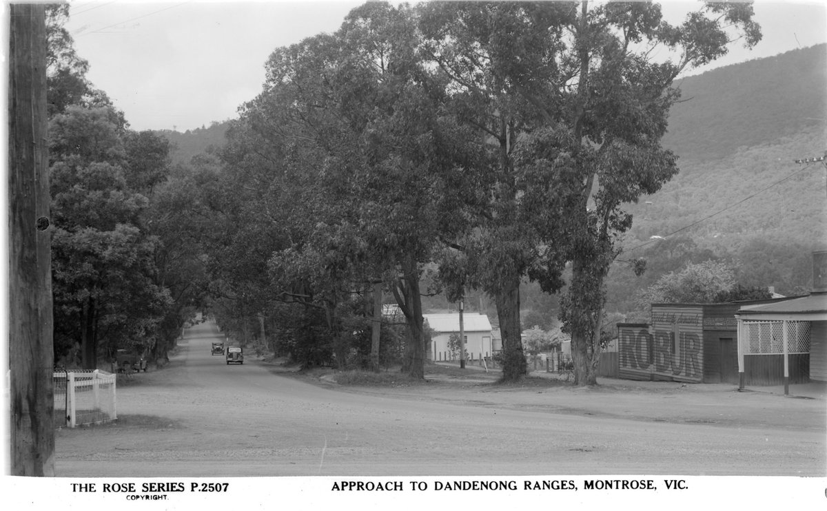 Approach To Dandenong Ranges, Montrose, Vic (1920–54)