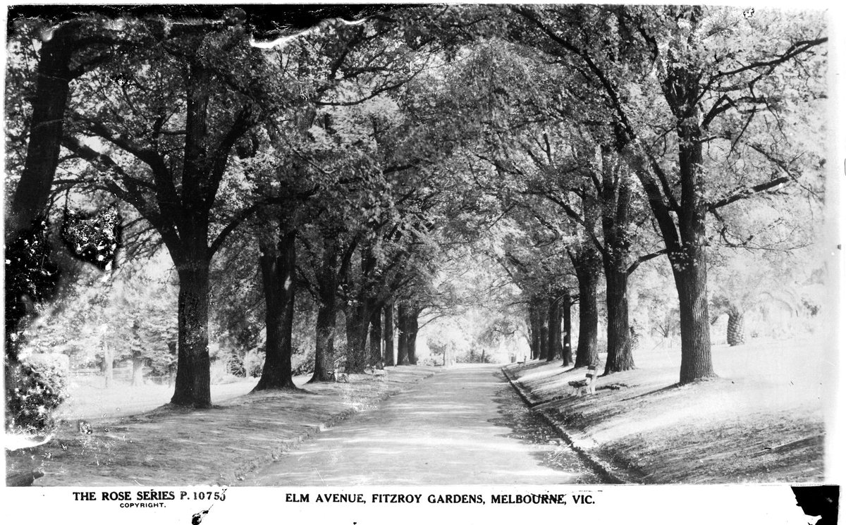 ELM AVENUE, FITZROY GARDENS, MELBOURNE, VIC, East Melbourne (1920–54)