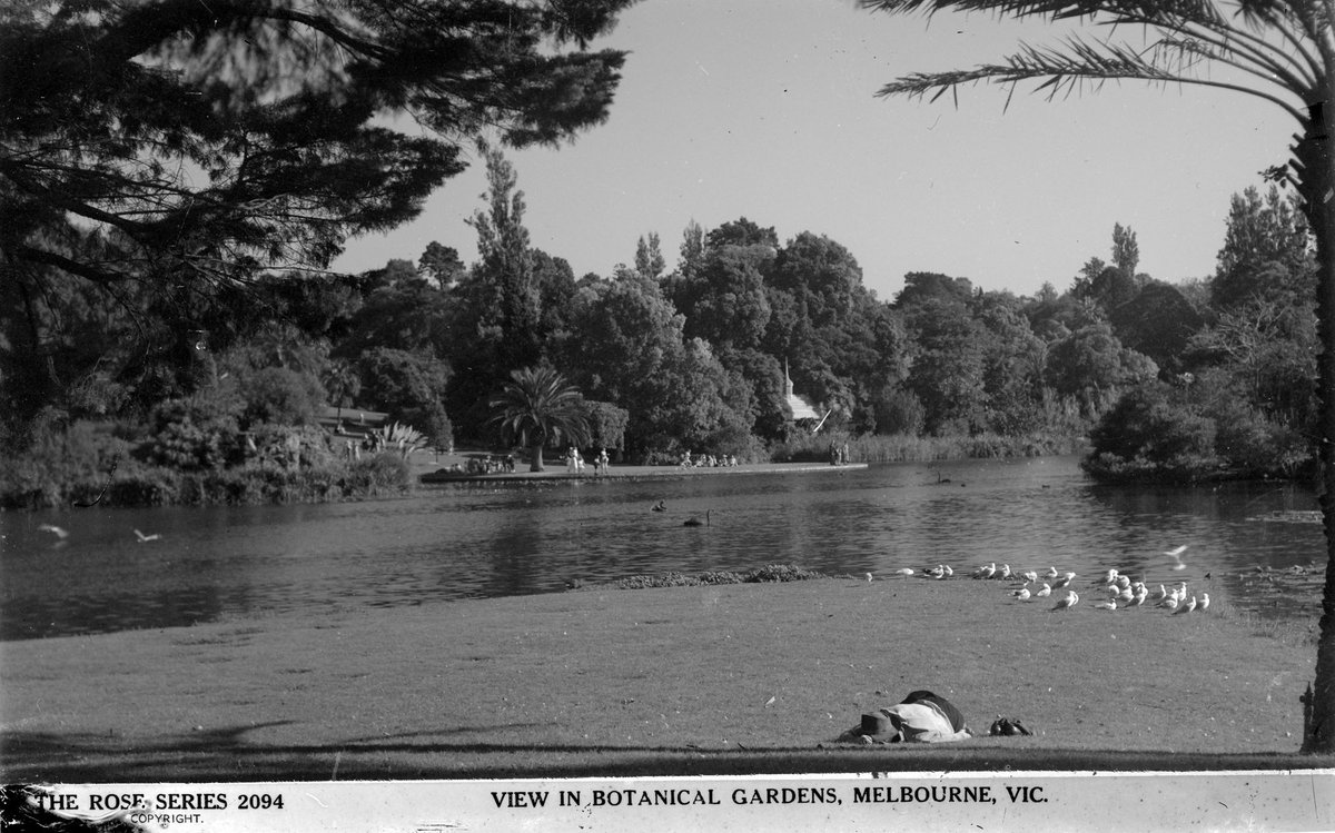 View In Botanical Gardens, Melbourne, Vic, Melbourne City (1920–54)