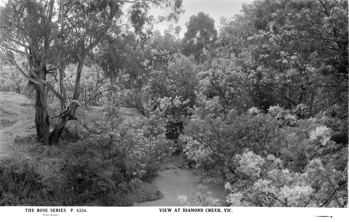 VIEW AT DIAMOND CREEK, VIC (1920–54)