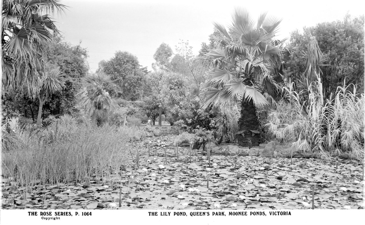 The Lily Pond, Queens Park, Moonee Ponds, Victoria (1920–54)