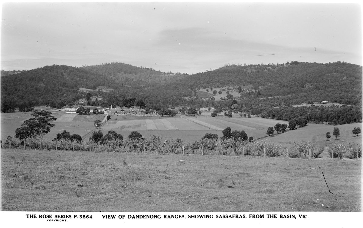 VIEW OF DANDENONG RANGES SHOWING SASSAFRAS FROM THE BASIN, VIC (1920–54)