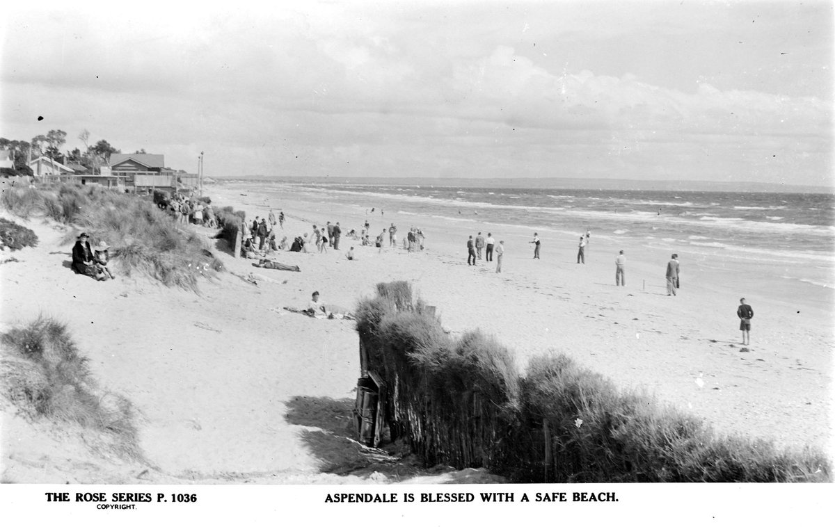 Aspendale is blessed with a safe beach (1920–54)