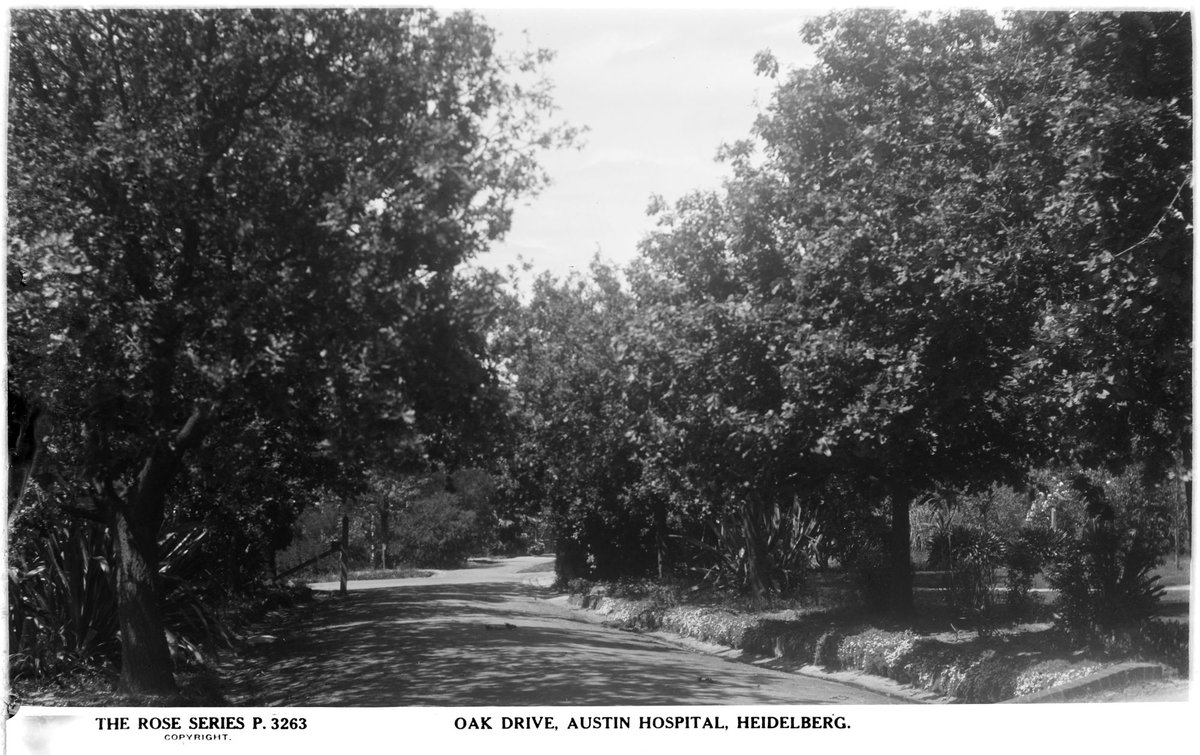 Oak Drive, Austin Hospital, Heidelberg (1920–54)