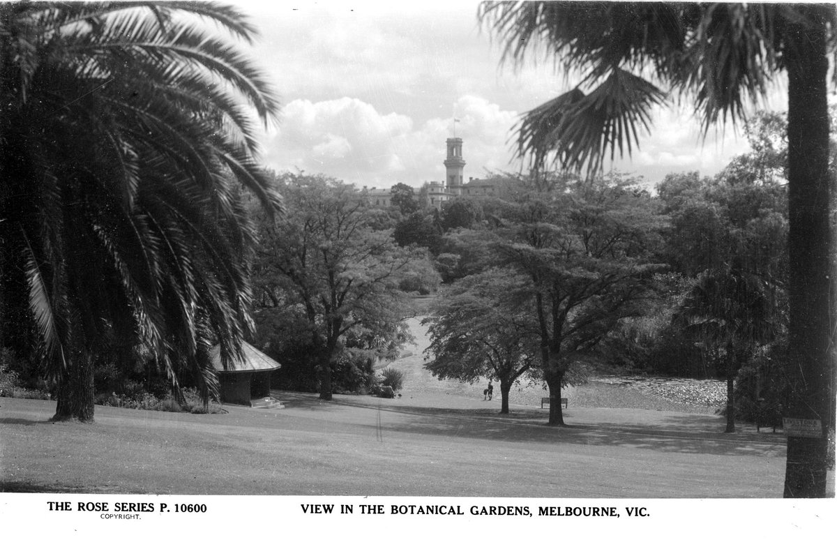 VIEW IN THE BOTANICAL GARDENS, MELBOURNE, VIC, Melbourne City (1920–54)