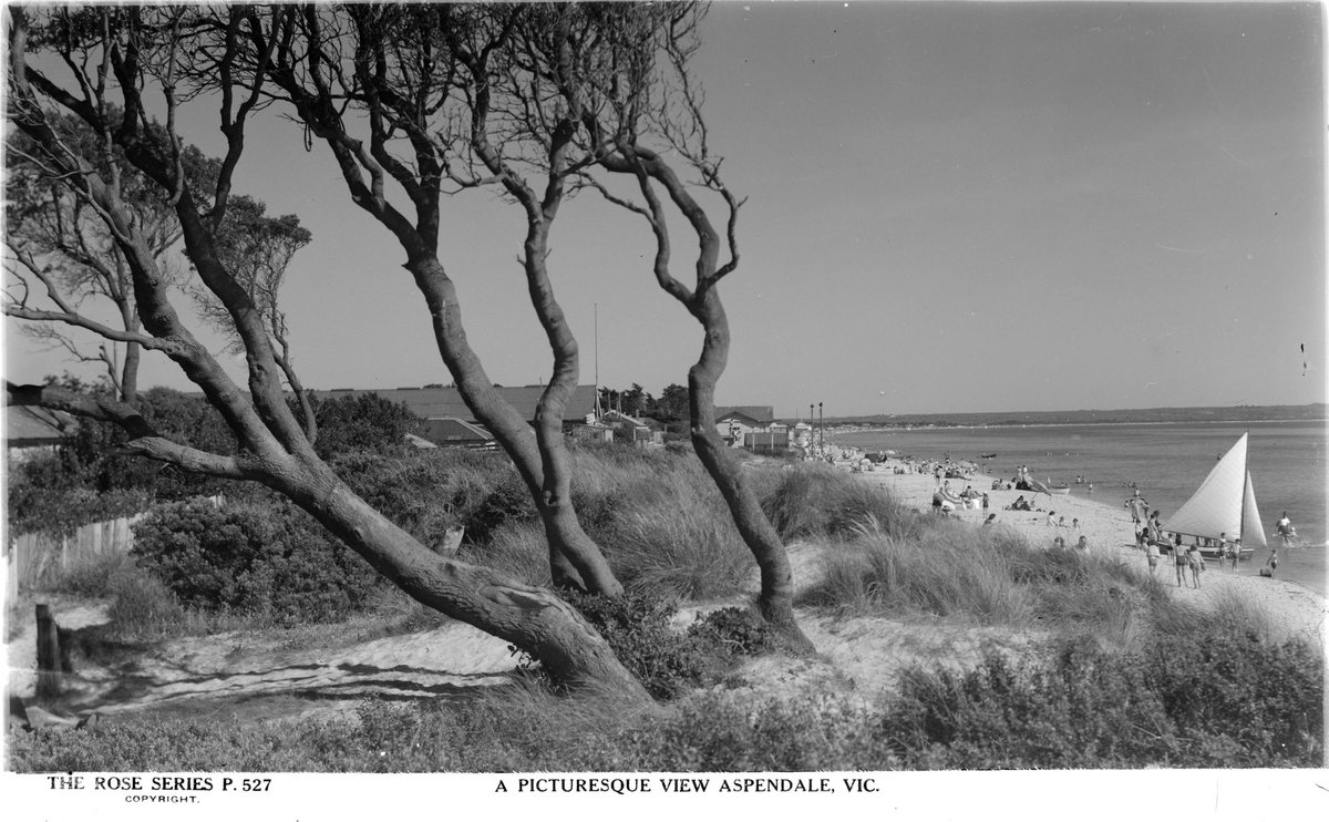 A PICTURESQUE VIEW ASPENDALE, VIC (1920–54)