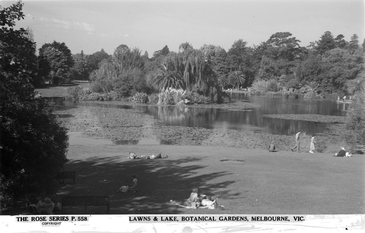 Lawns & Lake, Botanical Gardens, Melbourne, Vic, Melbourne City (1920–54)