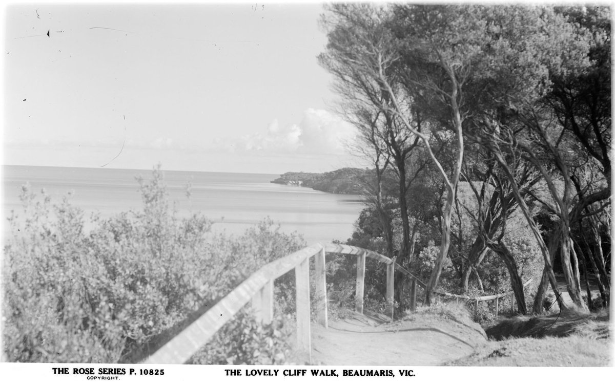 THE LOVELY CLIFF WALK, BEAUMARIS, VIC (1920–54)