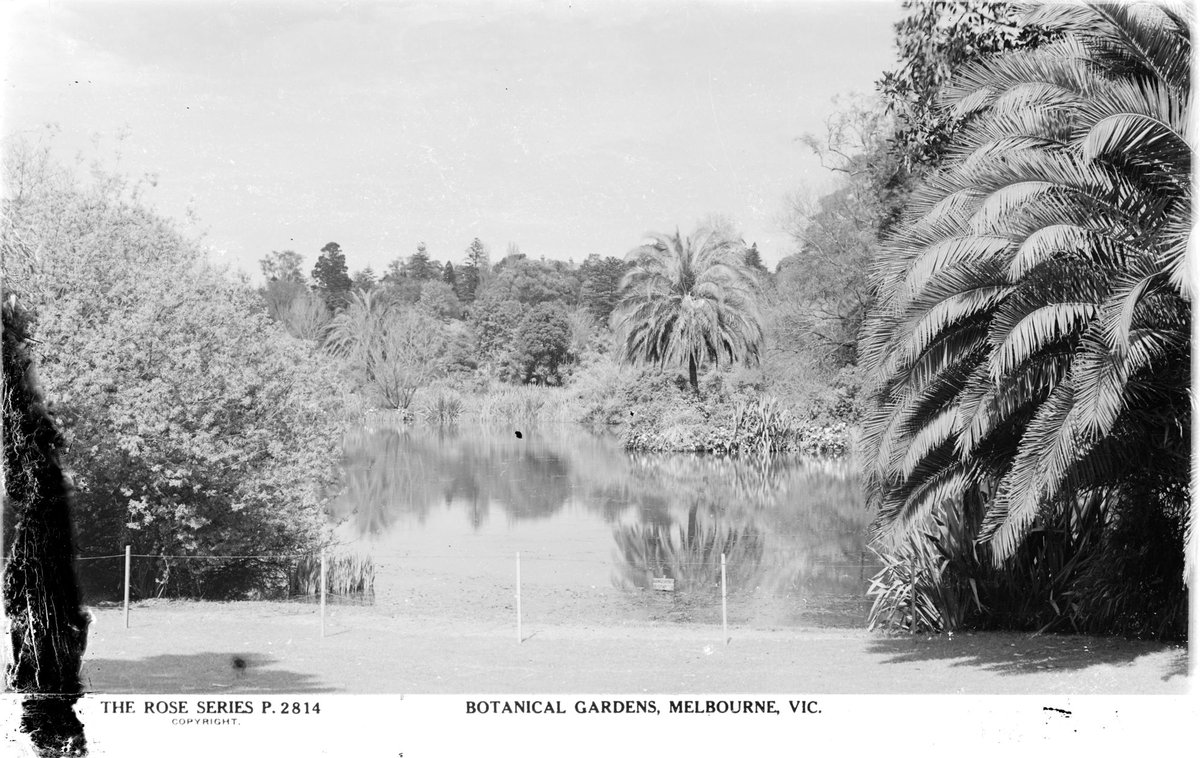 Botanical Gardens, Melbourne, Vic, Melbourne City (1920–54)