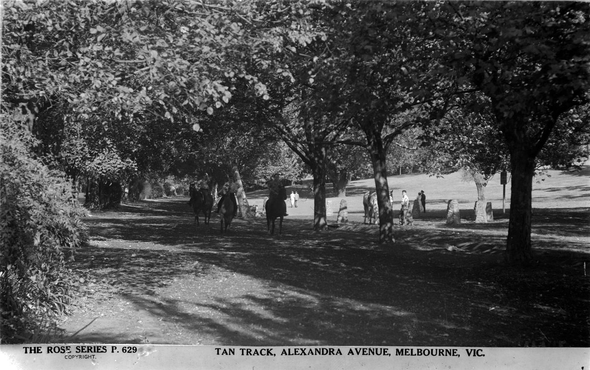 TAN TRACK, ALEXANDRA AVENUE, MELBOURNE, VIC, Melbourne City (1920–54)