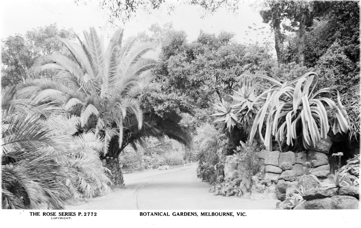 Botanical Gardens, Melbourne, Vic, Melbourne City (1920–54)