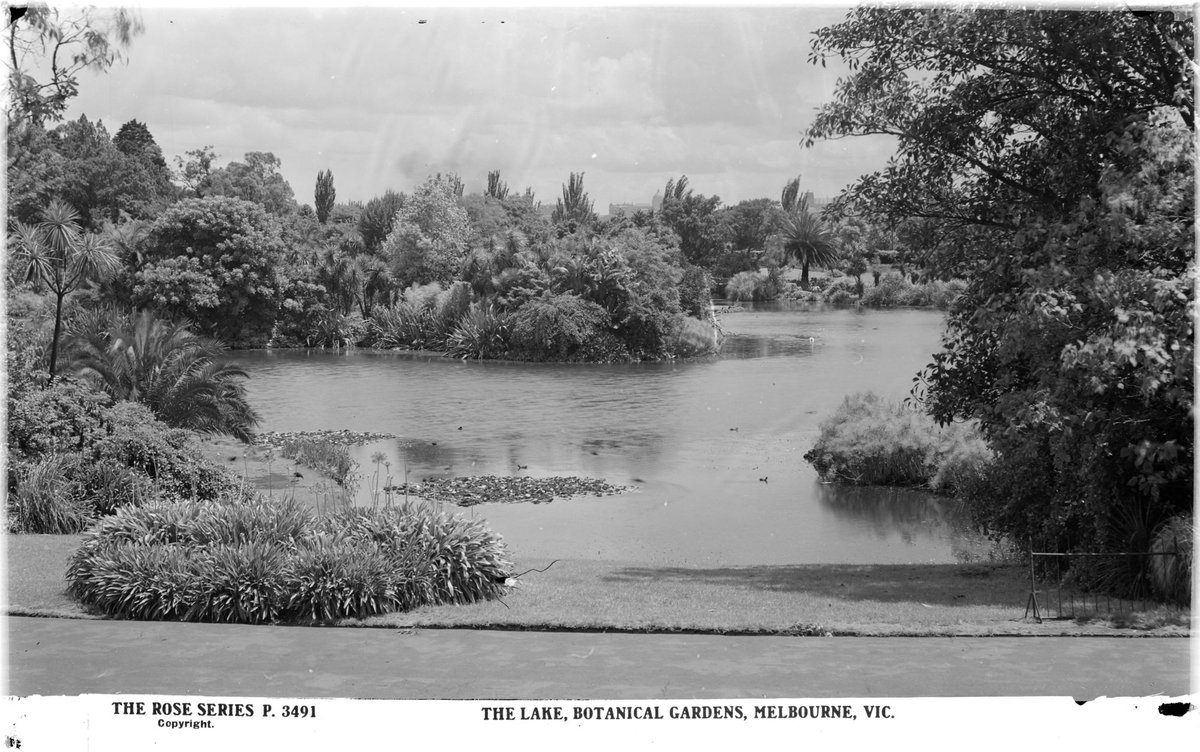 The Lake, Botanical Gardens, Melbourne, Vic, Melbourne City (1920–54)