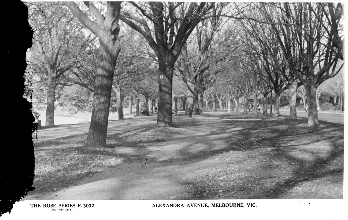 Alexandra Avenue, Melbourne, Vic, Melbourne City (1920–54)