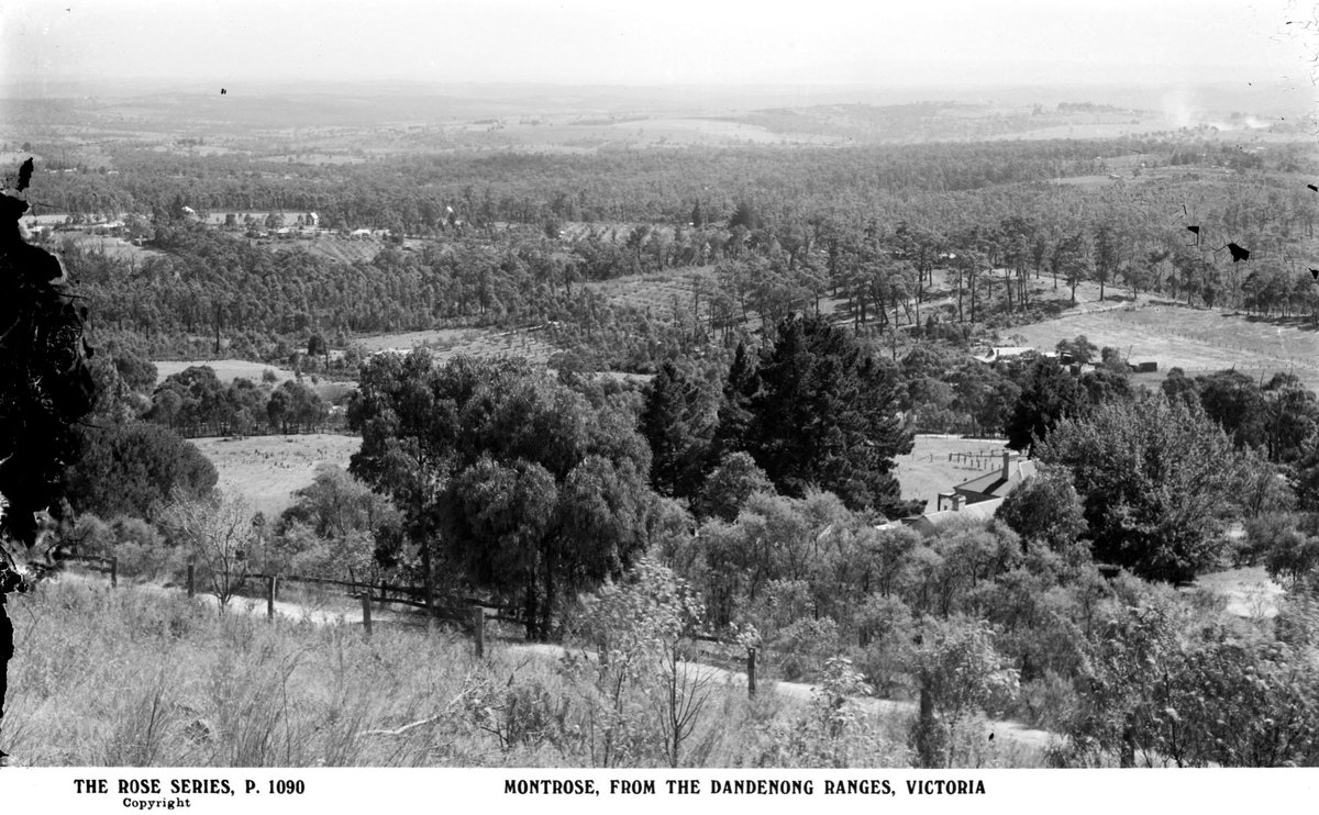 Montrose, From The Dandenong Ranges, Victoria (1920–54)