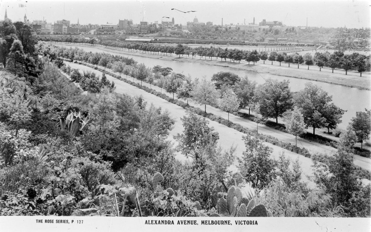 Alexandra Avenue, Melbourne, Vic, Melbourne City (1920–54)