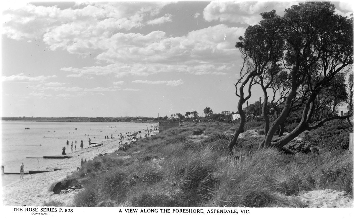 A VIEW ALONG THE FORESHORE, ASPENDALE, VIC (1920–54)