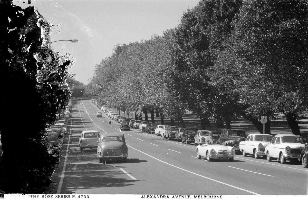 ALEXANDRA AVENUE, MELBOURNE, Melbourne City (1920–54)