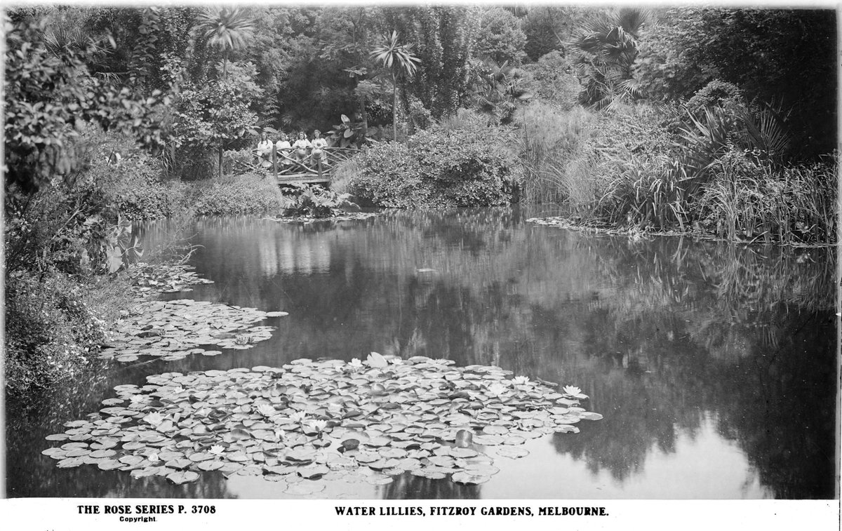 WATER LILLIES, FITZROY GARDENS, MELBOURNE, East Melbourne (1920–54)