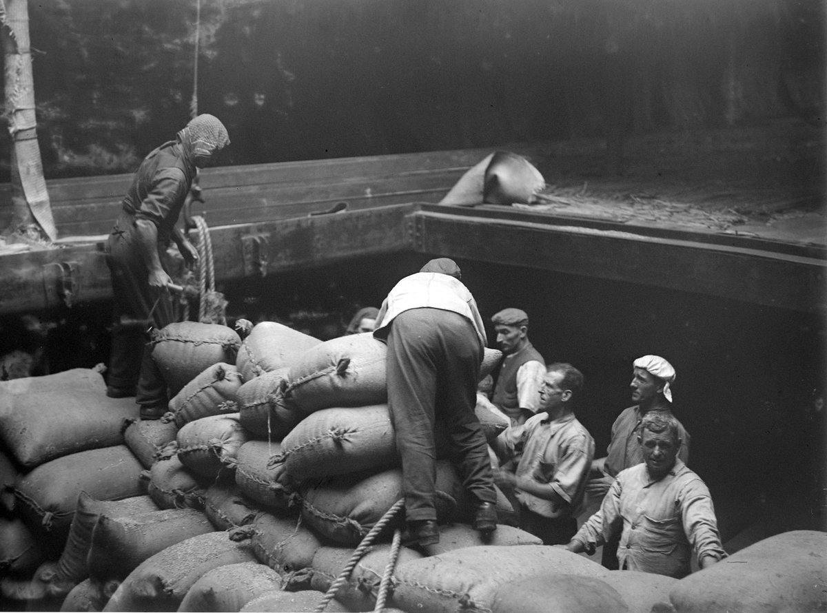 LOADING WHEAT P. MELB [i.e. Port Melbourne} (1900–54)