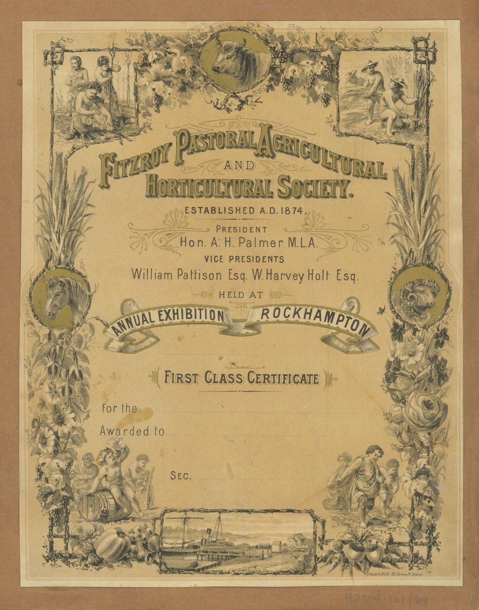 Fitzroy Pastoral Agricultural and Horticultural Society...Annual Exhibition Rockhampton...First Class Certificate (c. 1900)