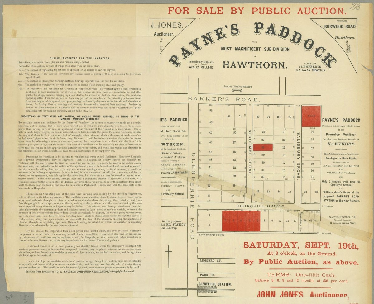 Payne's Paddock the most magnificent sub division in Hawthorn (1880–1900)
