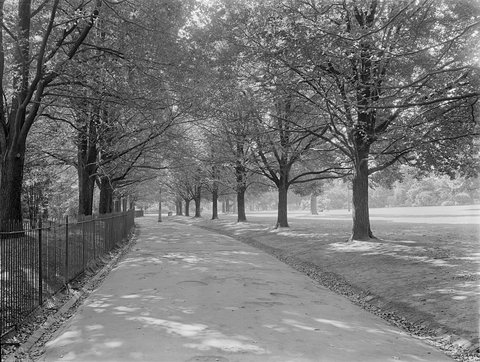 Fitzroy Gardens, 1945–54