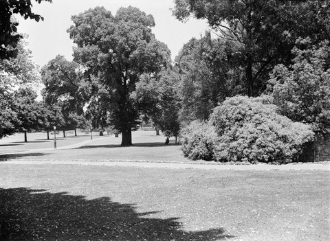 Fitzroy Gardens, 1945–54