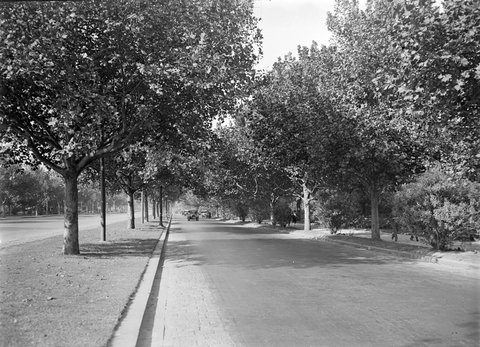 St. Kilda Road, Melbourne, 1945–54