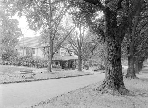 Fitzroy Gardens, 1945–54