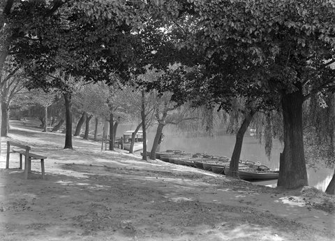 Studley Park, Kew, 1945–54
