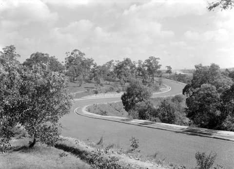 Yarra Boulevard, Studley Park, 1945–54