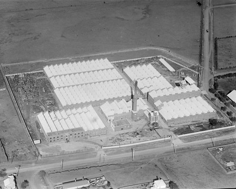 Valley Worsted Mills Ltd., Swanston Street, South Geelong, 1926