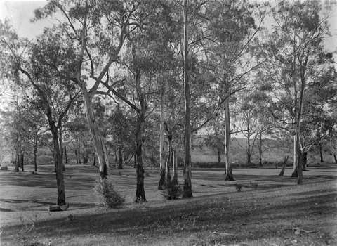 Eltham, 1945–54