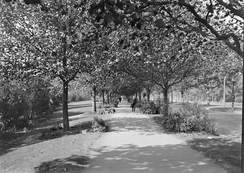 St. Kilda Road, Melbourne, 1945–54