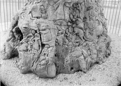 Base of Fairy Tree, Fitzroy Gardens, 1945–54