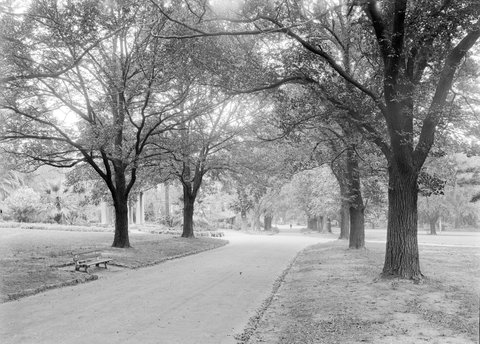 Fitzroy Gardens, 1945–54