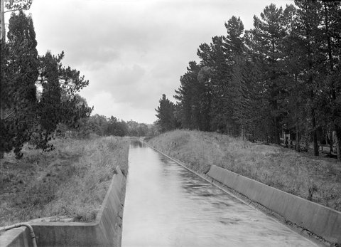 Irrigation, Diamond Creek, 1945–54