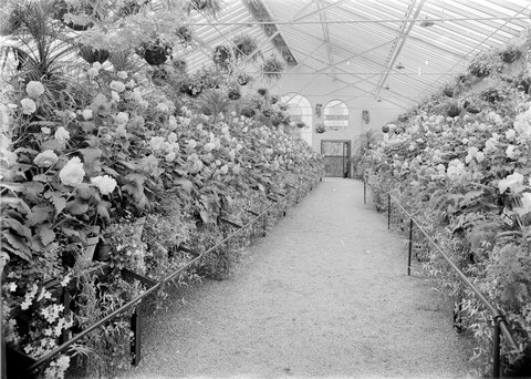 Interior of the Conservatory, Fitzroy Gardens, 1945–54
