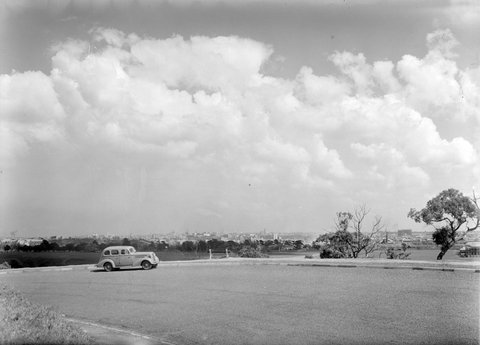 Yarra Boulevard, Kew, 1945–54