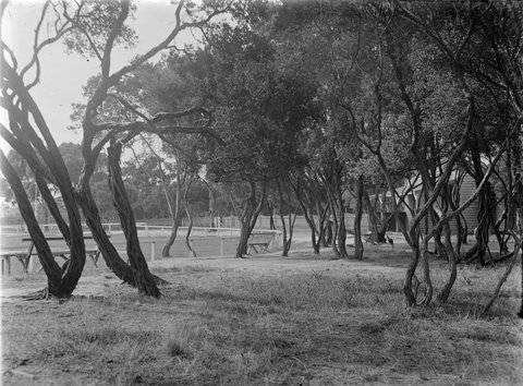Frankston, 1945–54