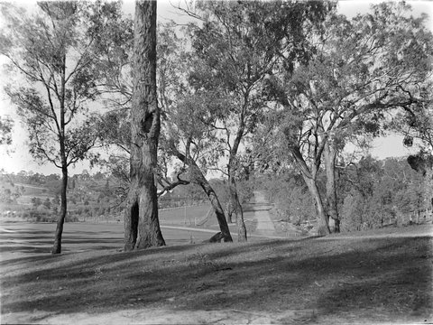 Eltham, 1945–54