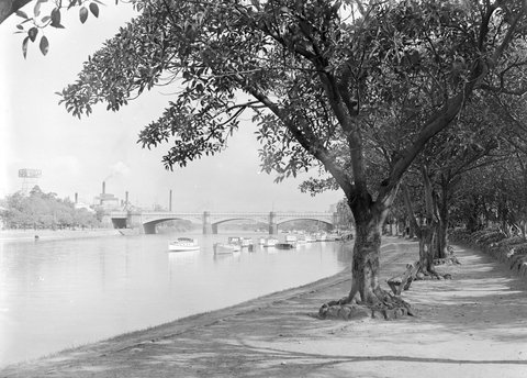 Princes Bridge, 1945–54