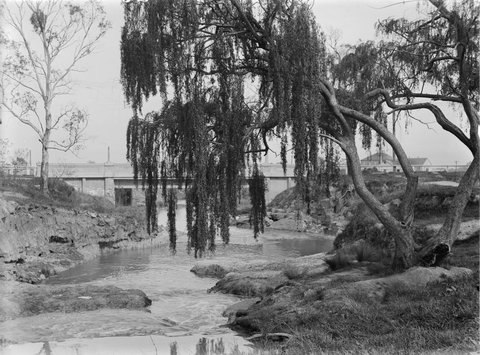 Frankston, 1945–54